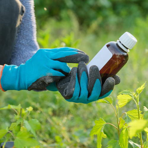 Pesticides