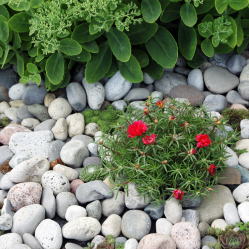 Pebbles