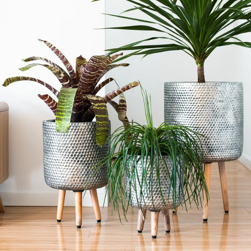 Indoor Pots