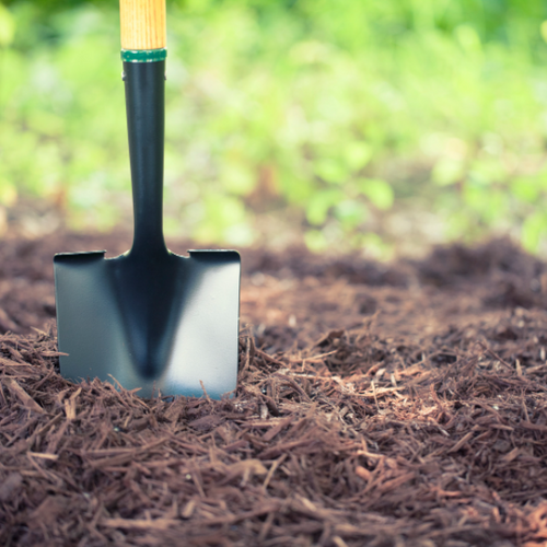 Mulch