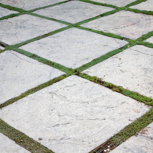 Pavers, Steppers & Sleepers