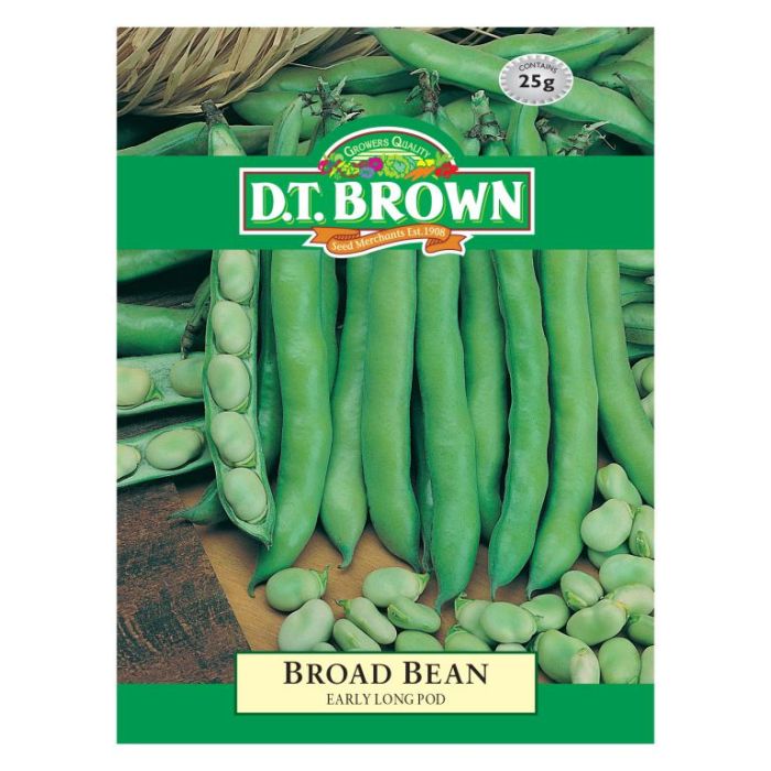 D.T. BROWN BROAD BEAN EARLY LONGPOD SEEDS all green