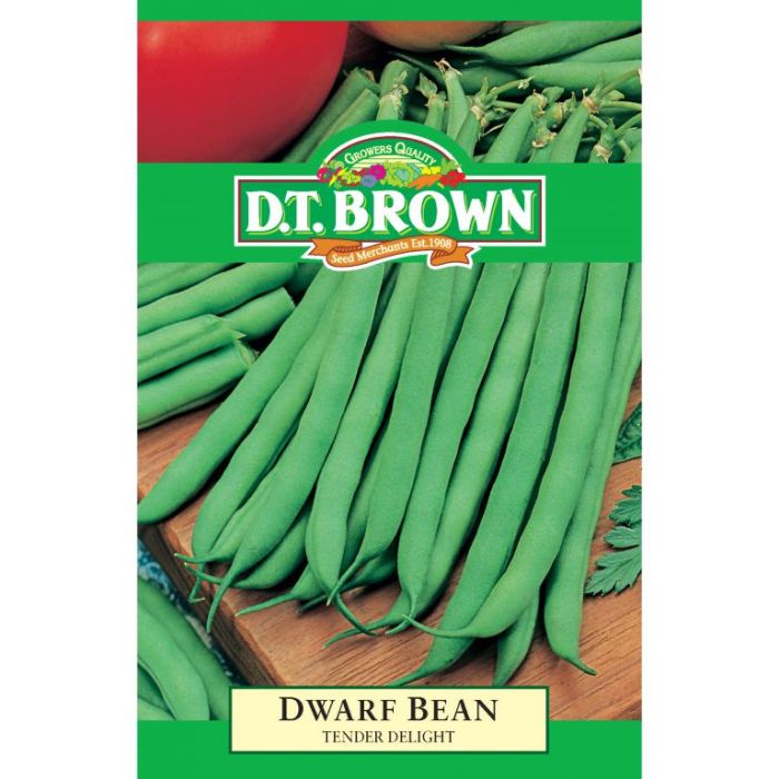 D.T. BROWN DWARF BEAN TENDER DELIGHT SEEDS all green