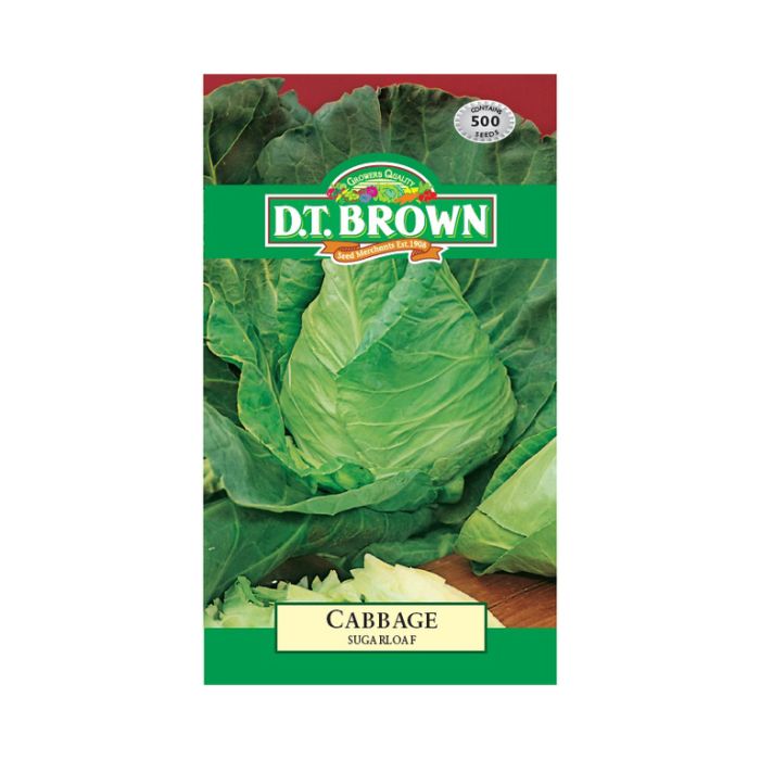 D.T. BROWN CABBAGE SUGARLOAF SEEDS all green