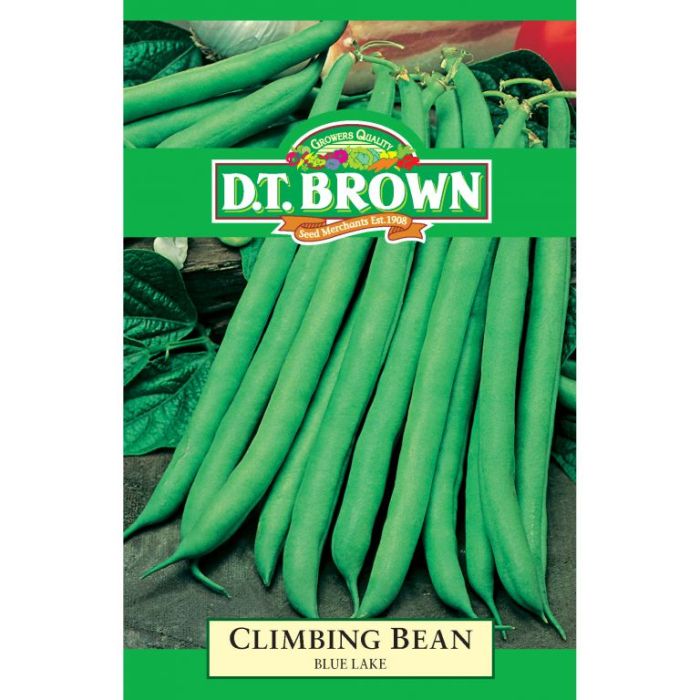 D.T. BROWN CLIMBING BEAN BLUE LAKE SEEDS all green