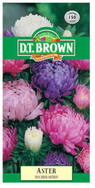 D.T. BROWN ASTER DUCHESS MIXED SEEDS all green
