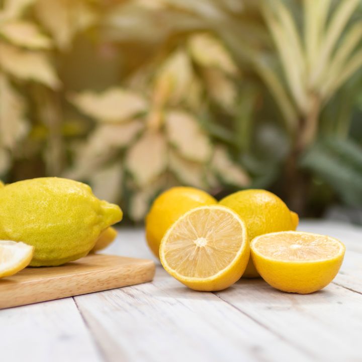 Citrus Lemon Eureka all green