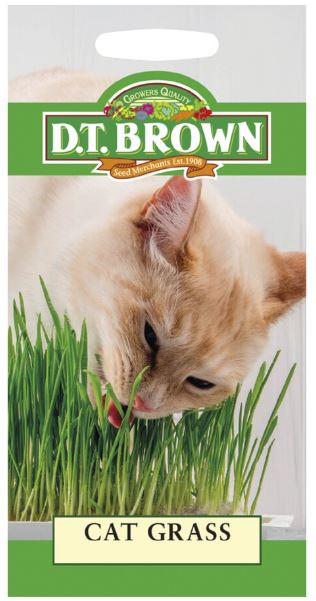 D.T. BROWN CAT GRASS SEEDS all green