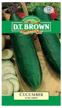 D.T. BROWN CUCUMBER LONG GREEN SEEDS all green