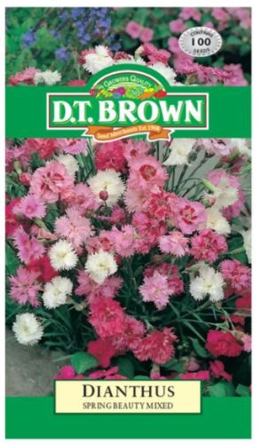 D.T. BROWN DIANTHUS SPRING BEAUTY MIXED SEEDS all green
