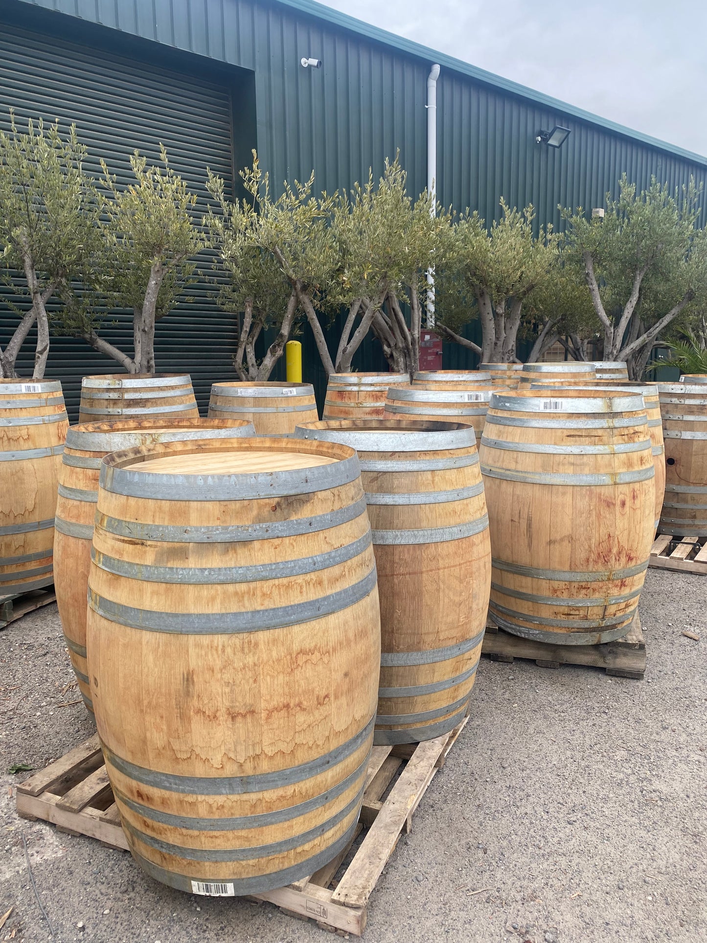 Wine Barrel
