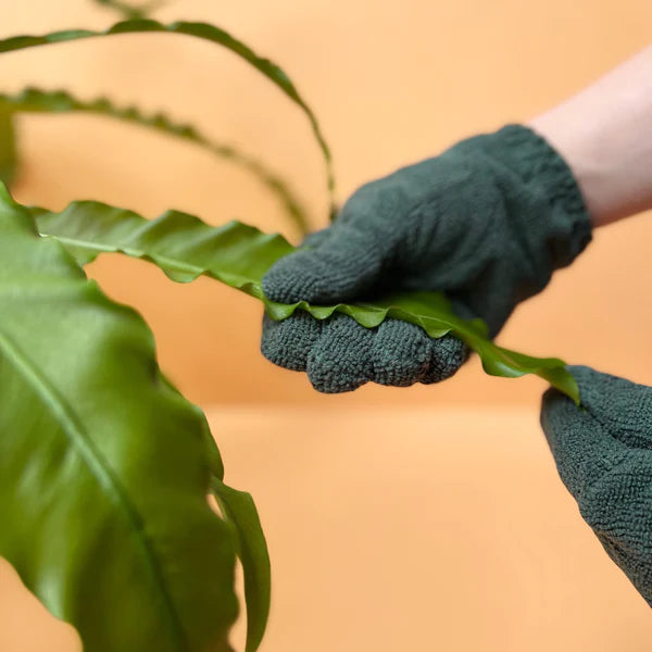 We The Wild Leaf Cleaning Gloves all green