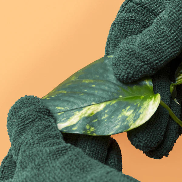 We The Wild Leaf Cleaning Gloves all green