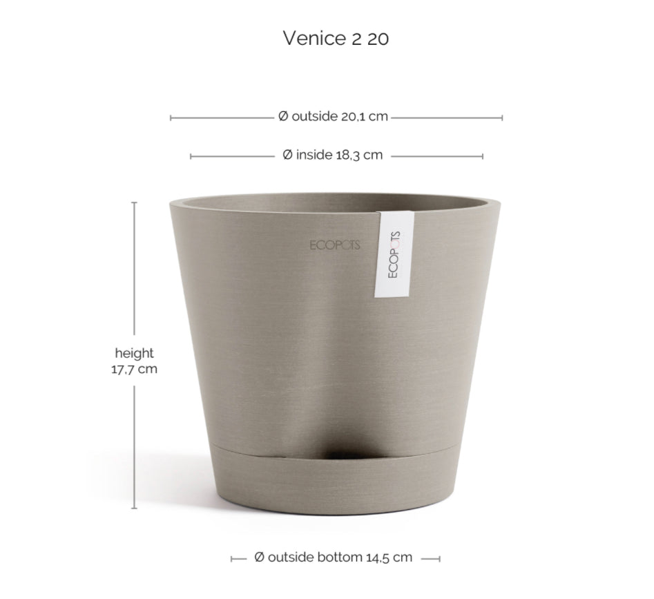 Self Watering Eco Pot Venice 20cm all green