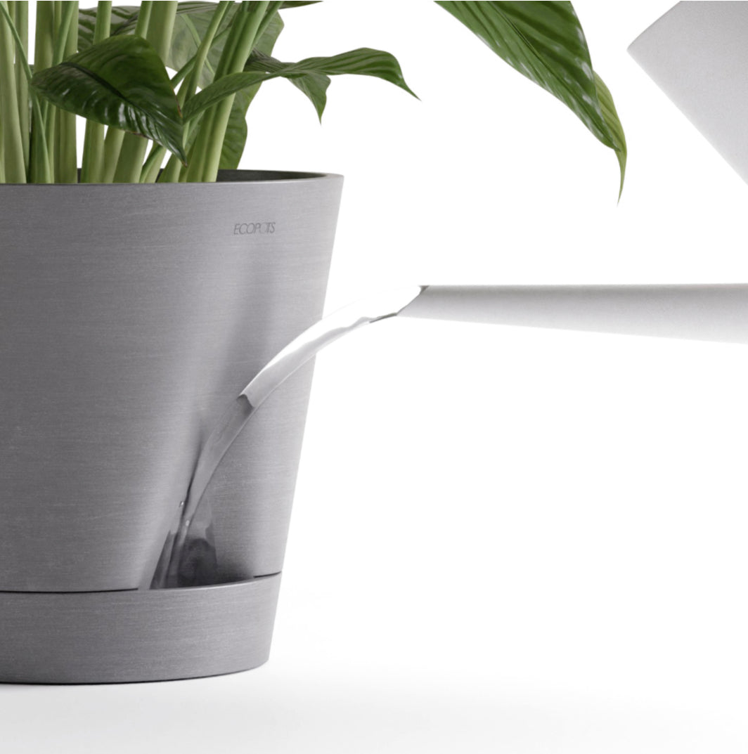 Self Watering Eco Pot Venice 20cm all green
