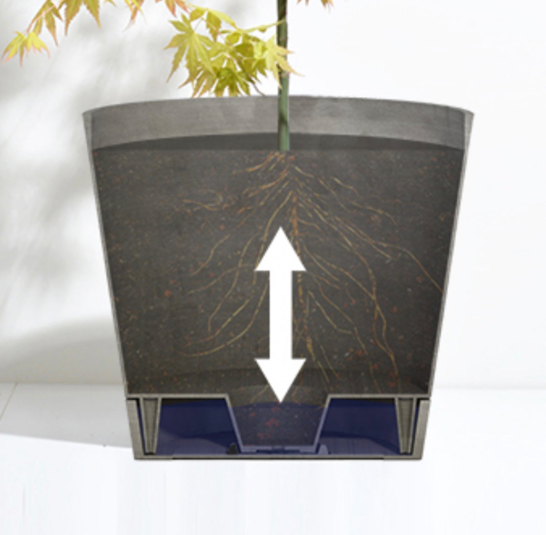 Self Watering Eco Pot Venice 20cm all green