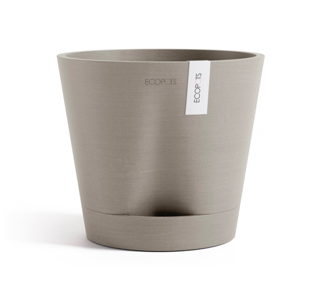 Self Watering Eco Pot Venice 20cm all green