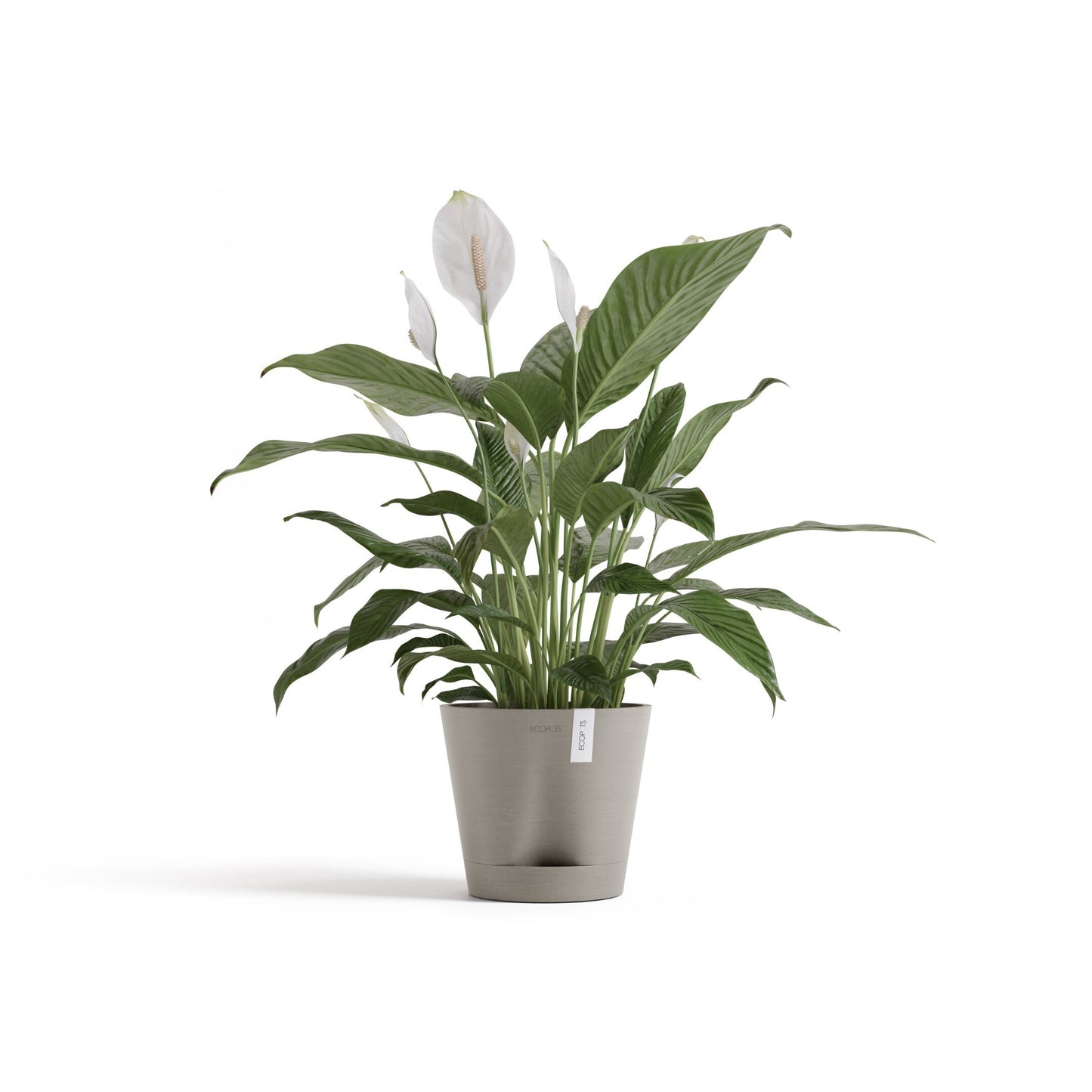 Self Watering Eco Pot Venice 20cm all green