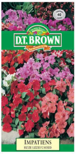 D.T. BROWN IMPATIENS BIZZIE LIZZIE F2 MIXED SEEDS all green