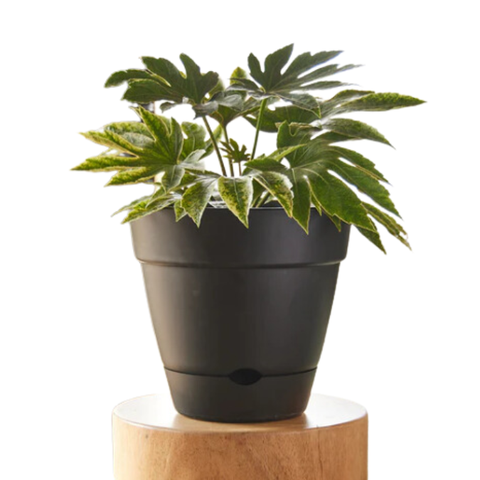 Leonard Self Watering Pot all green