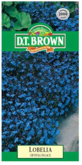 D.T. BROWN LOBELIA CRYSTAL PALACE SEEDS all green