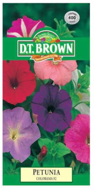 D.T. BROWN PETUNIA COLORAMA SEEDS all green