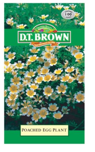 D.T. BROWN POACHED EGG PLANT SEEDS all green