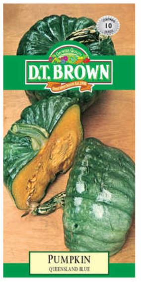 D.T. BROWN PUMPKIN QUEENSLAND BLUE SEEDS all green