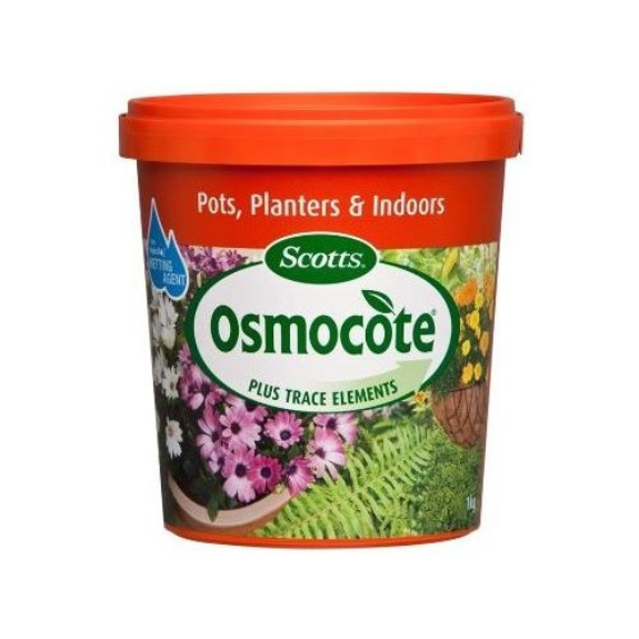 Scotts Osmocote Pot, Plant, Indoor - 1 kg all green