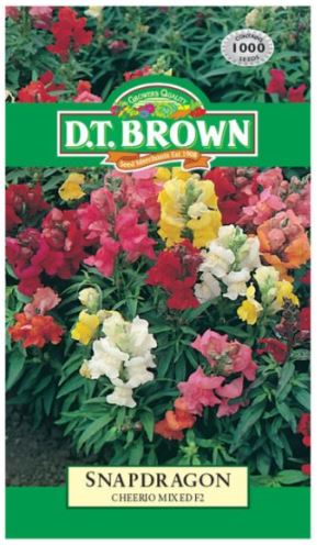 D.T. BROWN SNAPDRAGON CHEERIO SEEDS all green