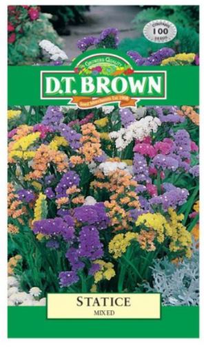 D.T. BROWN STATICE MIXED SEEDS all green