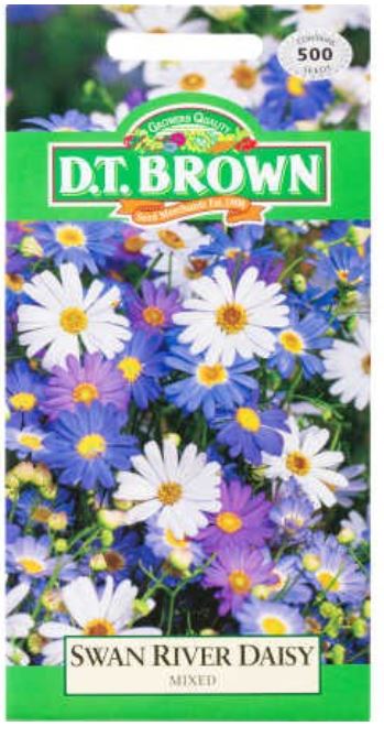 D.T. BROWN SWAN RIVER DAISY MIXED SEEDS all green