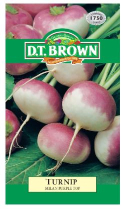 D.T. BROWN TURNIP MILAN PURPLE SEEDS