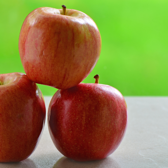 Apple 'Gala' - Potted 250mm all green