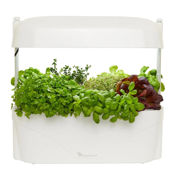 Vegepod Kitchen Garden all green