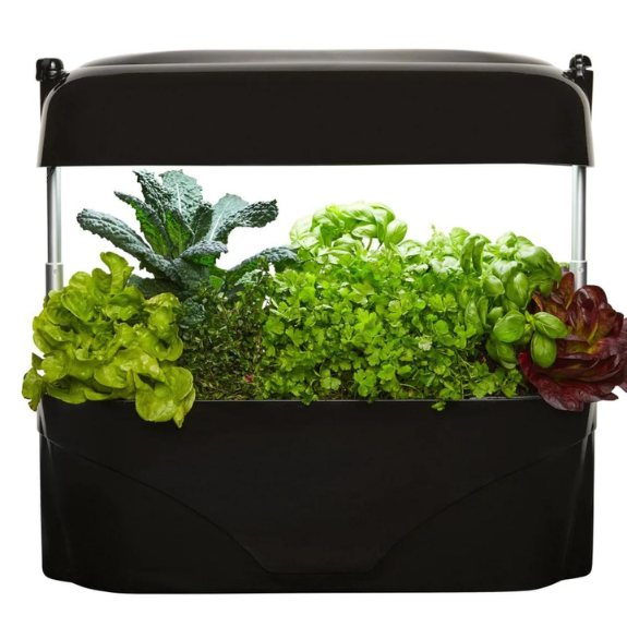 Vegepod Kitchen Garden all green
