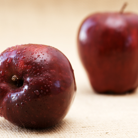 Apple 'Red Delicious' - Potted 250mm all green