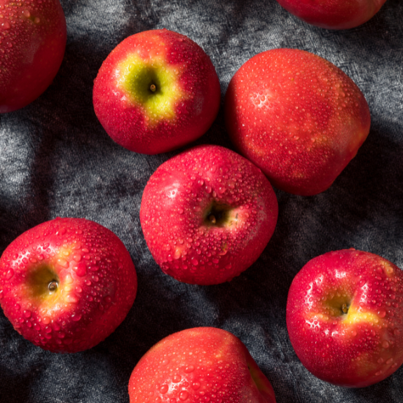 Dwarf Apple 'Pink Lady Cripps Pink' - Potted 250mm all green