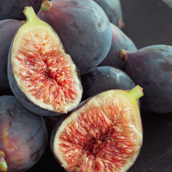 Fig 'Black Genoa' - Potted 250mm all green
