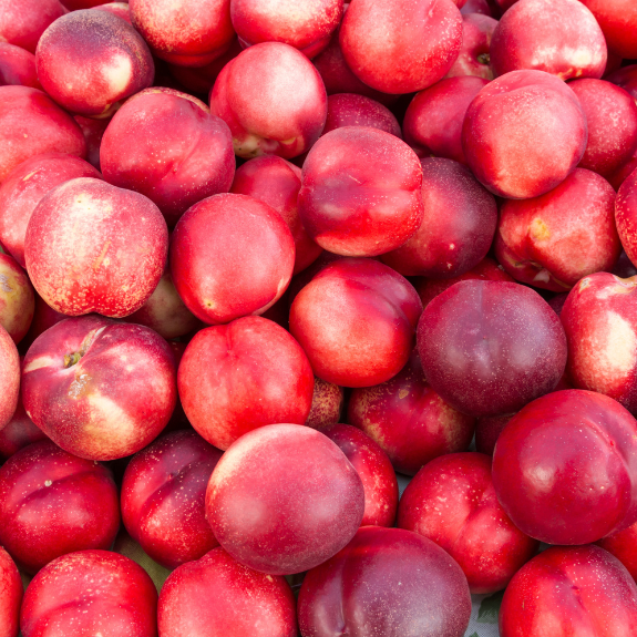 Nectarine 2 Way 'Goldmine' -'May Grand' - Potted 300mm all green