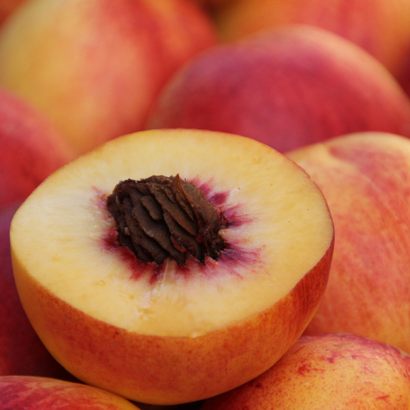 Peach 'Double Jewel' cv 'Zaiwel' - Potted 250mm all green