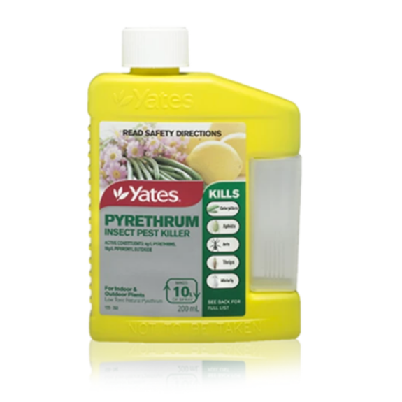 Yates Pyrethrum Insect - 200ml all green