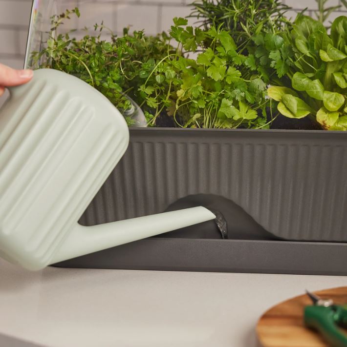 Backyard Farmer Mini Greenhouse