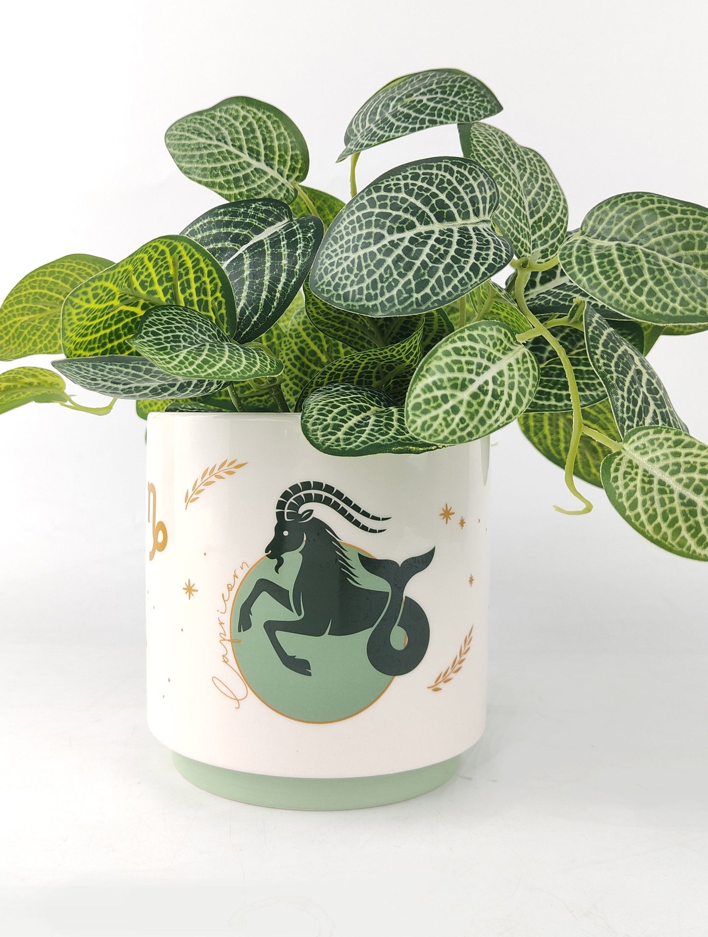 Zodiac Planters 13cm