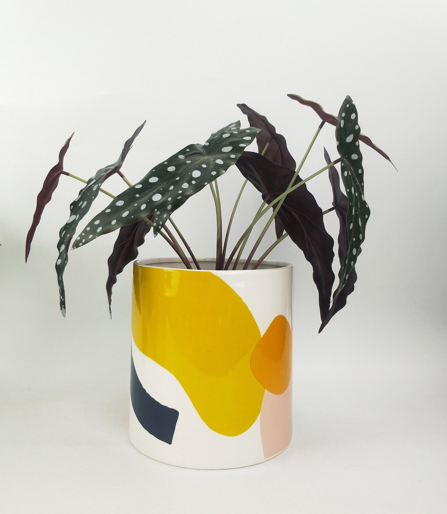 Elena Abstract Planter Blue and Yellow 20cm