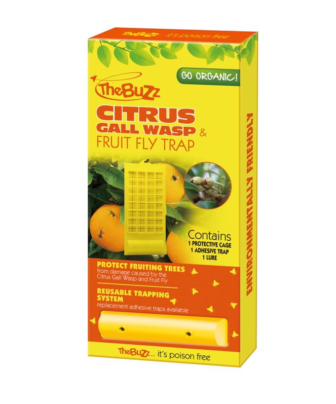 The Buzz Citrus Gall Wasp And Fruit Fly Trap