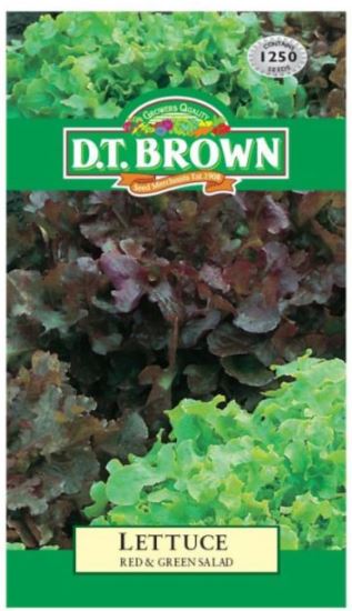 D.T. BROWN LETTUCE RED & GREEN SALAD BOWL SEEDS
