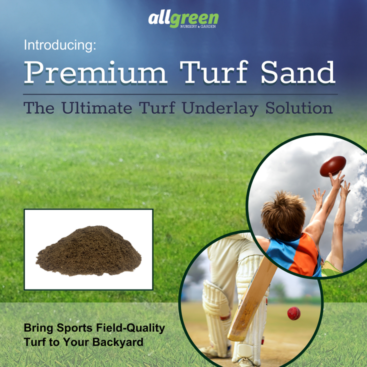 Premium Turf Sand