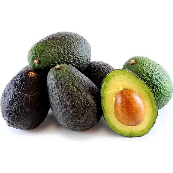 Fruit Avocado Hass - 200mm *Clearance stock*