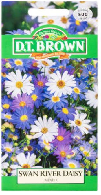 D.T. BROWN SWAN RIVER DAISY MIXED SEEDS
